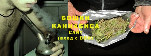 дурь Богданович