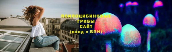 ГАЛЛЮЦИНОГЕННЫЕ ГРИБЫ Богородск