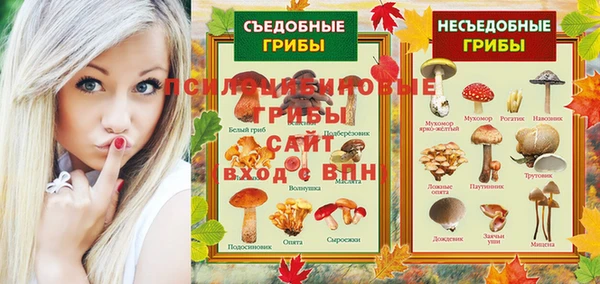 ГАЛЛЮЦИНОГЕННЫЕ ГРИБЫ Богородск