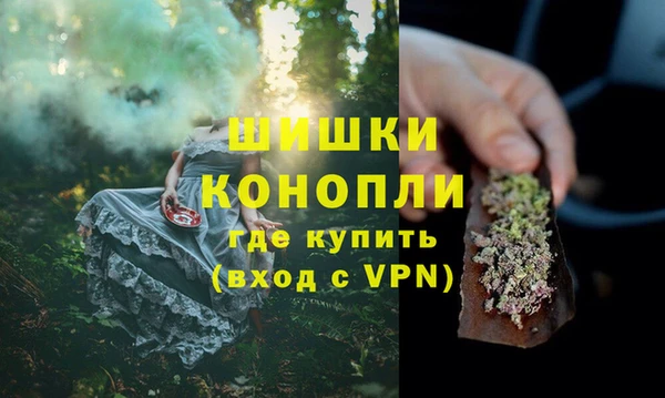 дурь Богданович